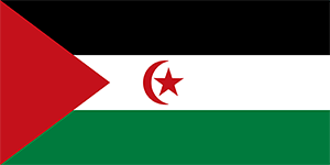 Flags of Muslim Countries With a Crescent Moon