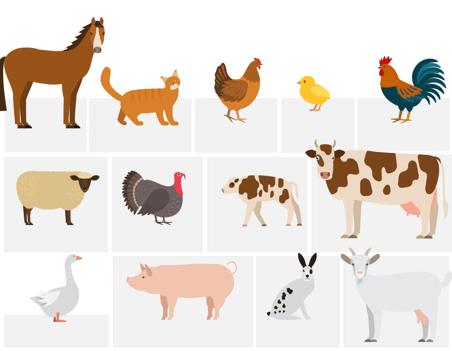 farm-animals-map-quiz-game-seterra